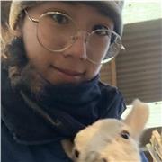 University of Surrey - vet student
Speaks fluent Cantonese/ Mandarin/ English 
Teaches : 
Chinese to anyone
English to foreigners